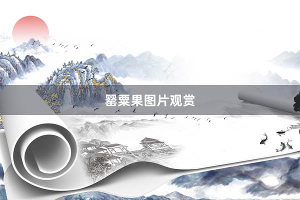 罂粟果图片观赏