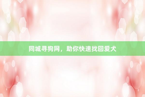 同城寻狗网，助你快速找回爱犬
