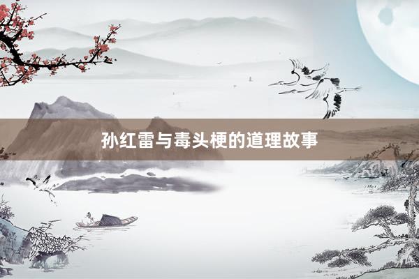 孙红雷与毒头梗的道理故事