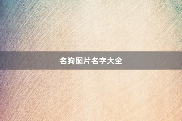 名狗图片名字大全