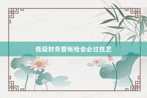 低级财务管帐检会必过技艺